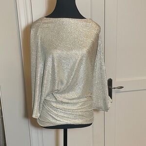 Chic Silver and Gold Dolman sleeve top ⭐️